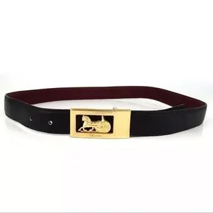 Celine | Accessories | Auth Celine Sulky Buckle Reversible 